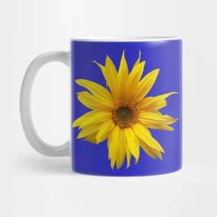 Sunflower - fall flower photograph Mug